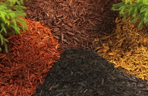 using-mulch-for-garden-weed-control