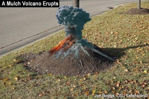 1 Volcano Mulch Ornamental Pear Balsam Drive 2017 5 w-Volcano 1
